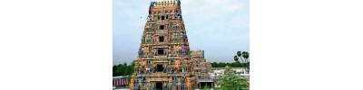 244. திருவோத்தூர்
